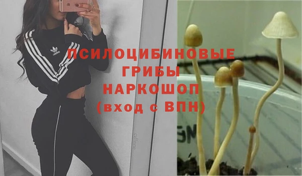герыч Горняк