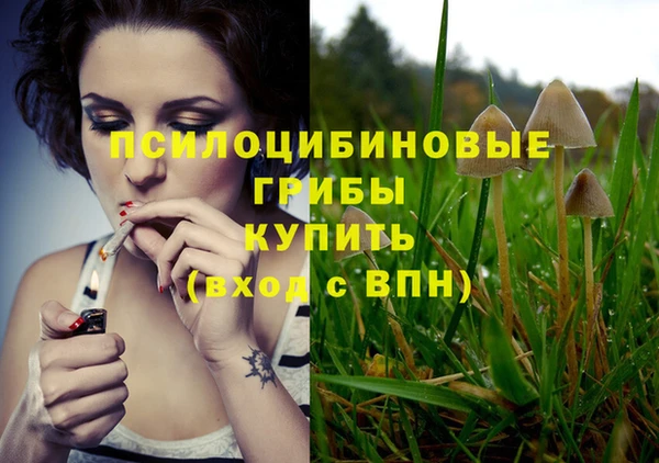 прущий лед Горнозаводск