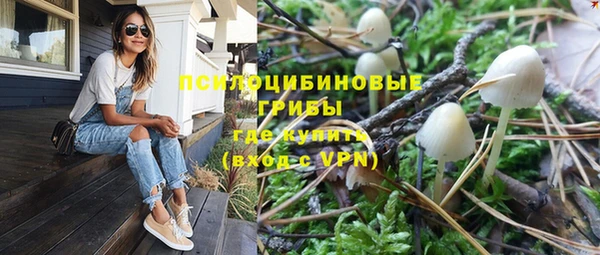 герыч Горняк