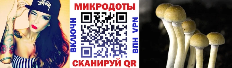 Псилоцибиновые грибы ЛСД  продажа наркотиков  KRAKEN ONION  Елец 